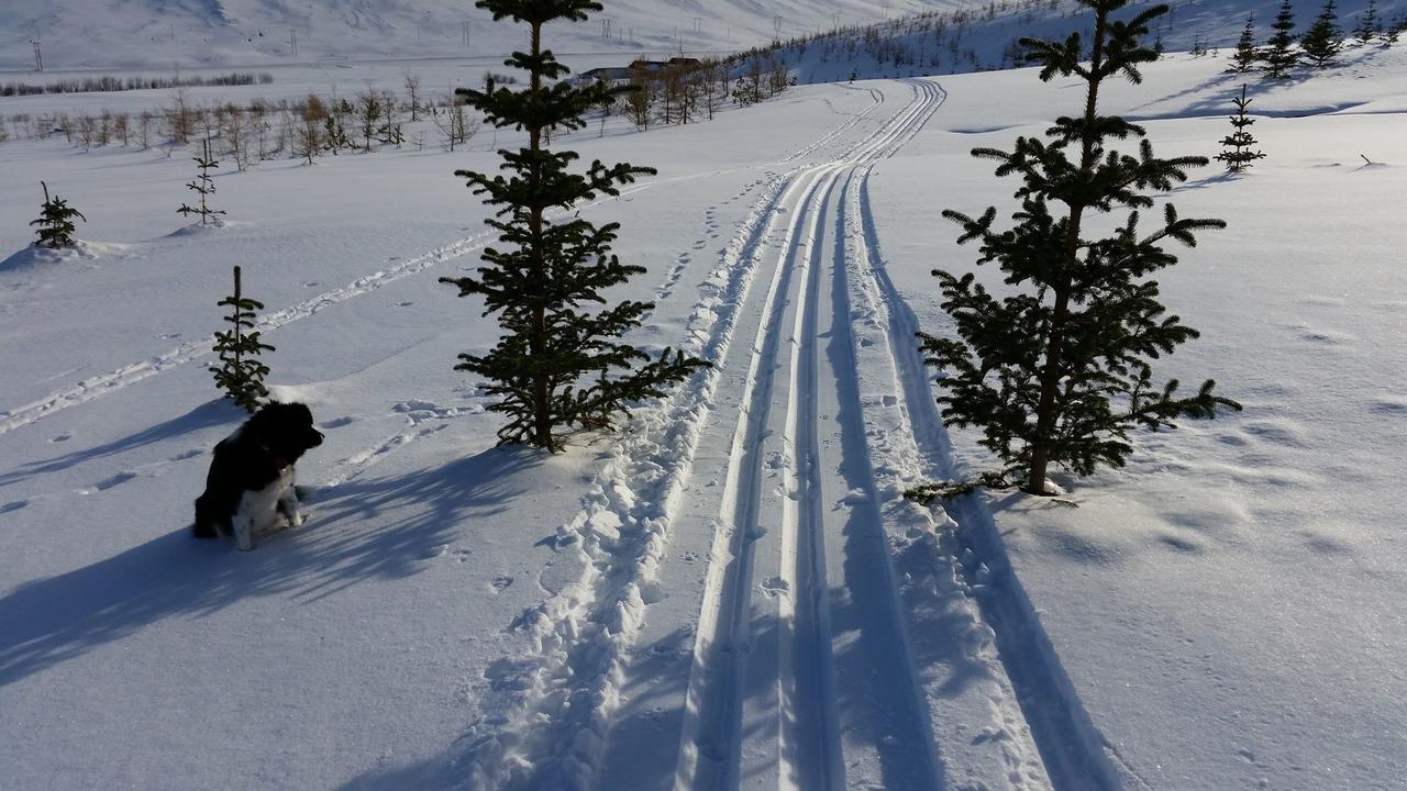 Holt Inn Flateyri Экстерьер фото